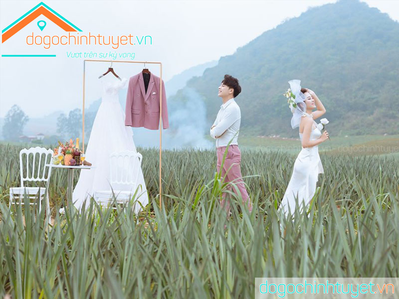 Chụp ảnh cưới Thái Bình Studio Festival 